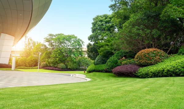 Cost of Commercial Lawn Mowing in Woodstock
