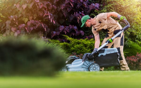 Cost of Lawn Care And Maintenance in Woodstock