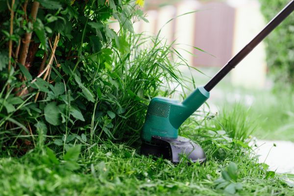 Cost of Weed Whacking in Woodstock