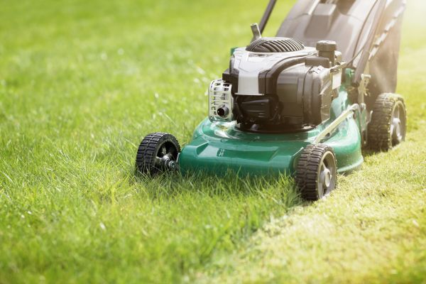 Cost of Yard Cutting in Woodstock