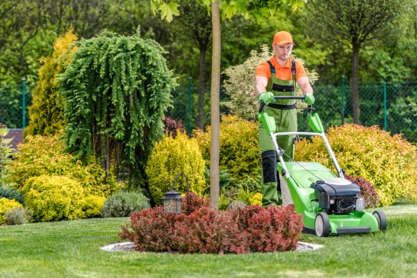 Cost of Yard Service in Woodstock