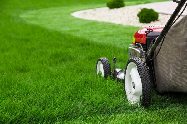 Cost of Lawn Service in Woodstock