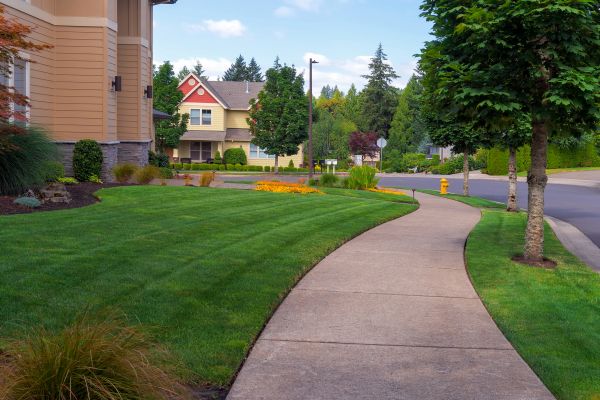 Cost of Home Lawn Maintenance in Woodstock