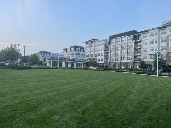 Cost of Urban Lawn Care in Woodstock