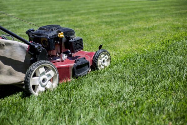 Cost of Routine Lawn Care in Woodstock