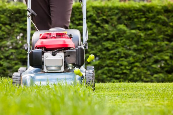 Cost of Grass Trimming Service in Woodstock