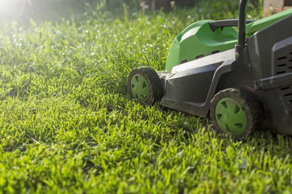 Cost of Lot Mowing in Woodstock