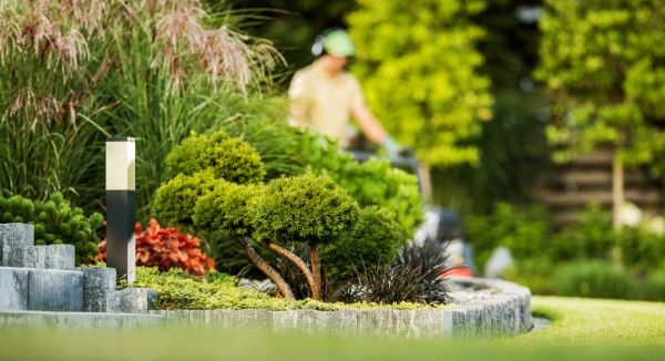 Cost of Residential Yard Maintenance in Woodstock