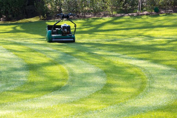 Cost of Business Lawn Mowing in Woodstock