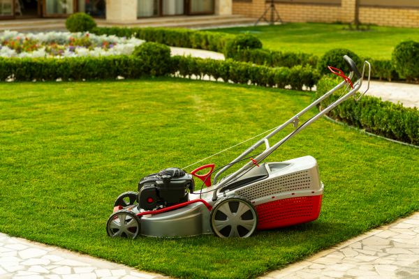 Cost of Business Grass Cutting in Woodstock