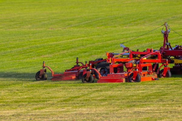 Cost of Industrial Lawn Service in Woodstock