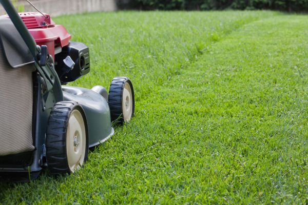 Cost of Spring Lawn Maintenance in Woodstock