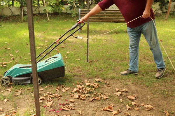Cost of Leaves Mowing in Woodstock