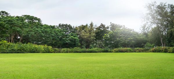 Cost of Golf Course Mowing in Woodstock