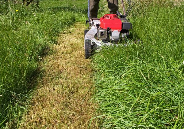 Leaf Mowing in Woodstock