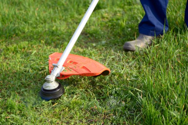 Cost of Lawn Weed Whacking in Woodstock