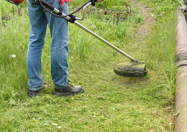 Cost of Tall Grass Trimming in Woodstock