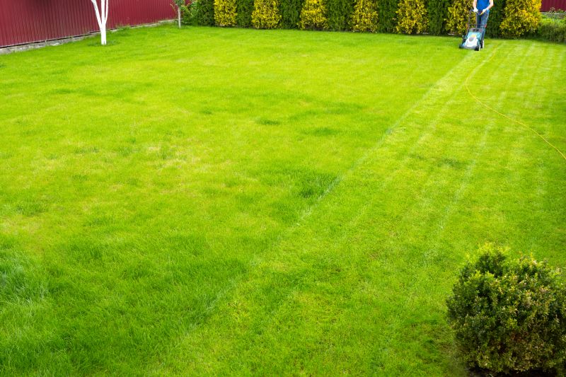 Lawn After Service